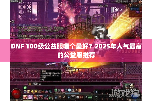 DNF 100级公益服哪个最好？2025年人气最高的公益服推荐