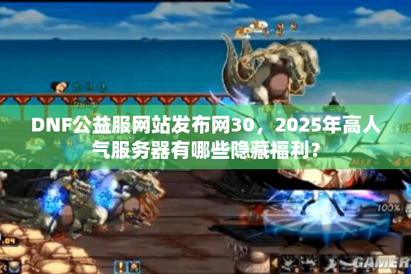 DNF公益服网站发布网30，2025年高人气服务器有哪些隐藏福利？