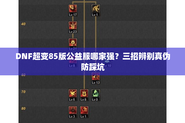 DNF超变85版公益服哪家强？三招辨别真伪防踩坑