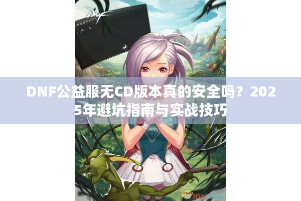 DNF公益服无CD版本真的安全吗？2025年避坑指南与实战技巧