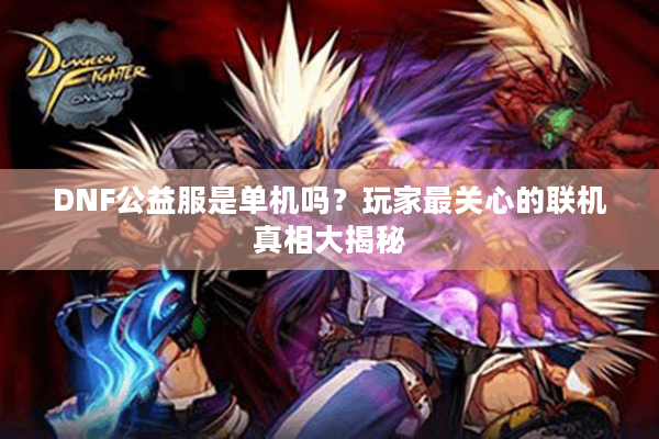 DNF公益服是单机吗？玩家最关心的联机真相大揭秘
