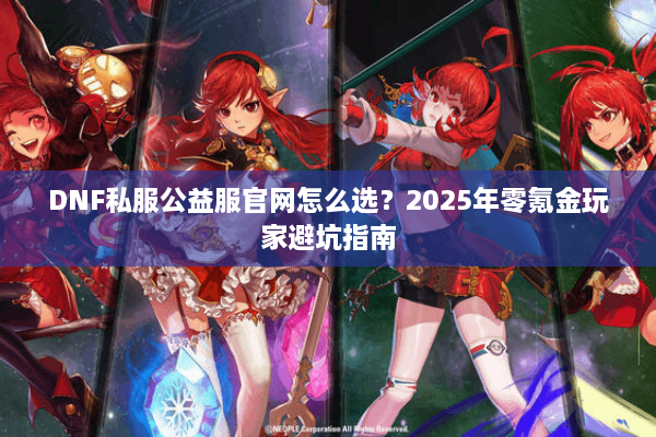 DNF私服公益服官网怎么选？2025年零氪金玩家避坑指南