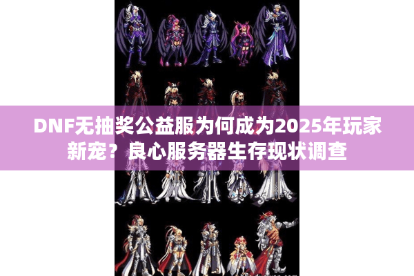 DNF无抽奖公益服为何成为2025年玩家新宠？良心服务器生存现状调查