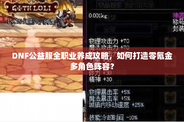 DNF公益服全职业养成攻略，如何打造零氪金多角色阵容？