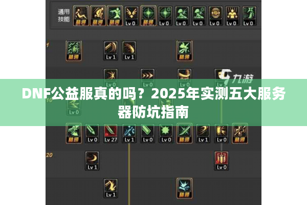 DNF公益服真的吗？2025年实测五大服务器防坑指南