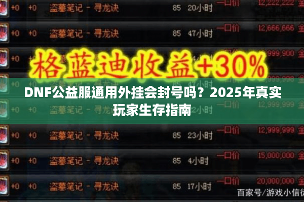 DNF公益服通用外挂会封号吗？2025年真实玩家生存指南