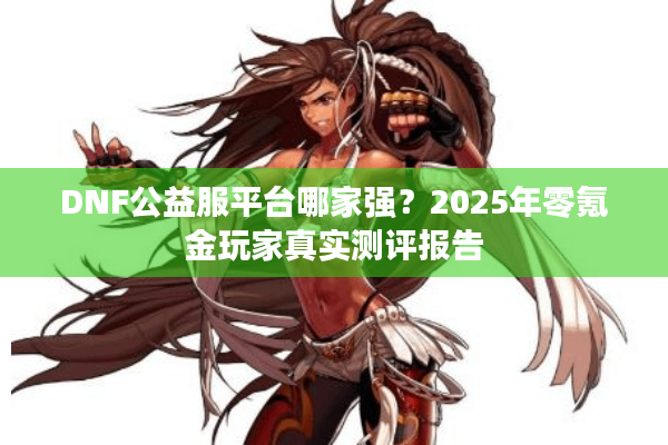 DNF公益服平台哪家强？2025年零氪金玩家真实测评报告