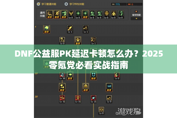 DNF公益服PK延迟卡顿怎么办？2025零氪党必看实战指南