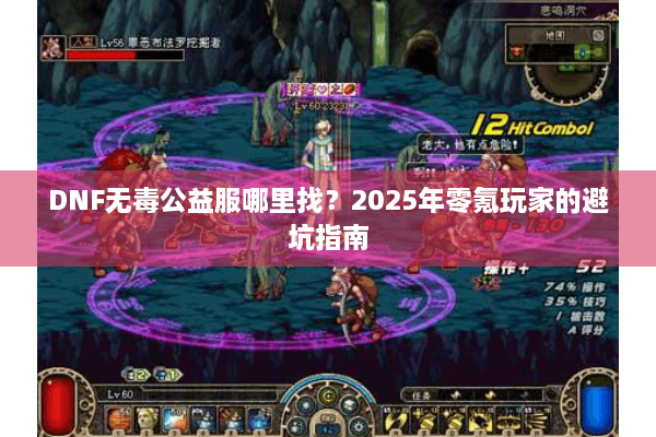 DNF无毒公益服哪里找？2025年零氪玩家的避坑指南