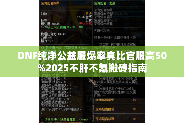 DNF纯净公益服爆率真比官服高50%2025不肝不氪搬砖指南