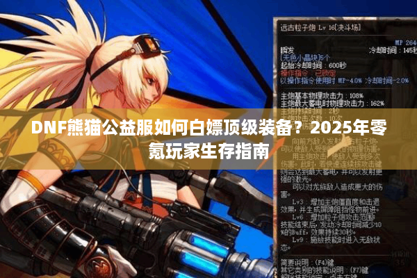 DNF熊猫公益服如何白嫖顶级装备？2025年零氪玩家生存指南