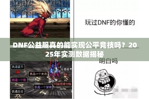 DNF公益服真的能实现公平竞技吗？2025年实测数据揭秘
