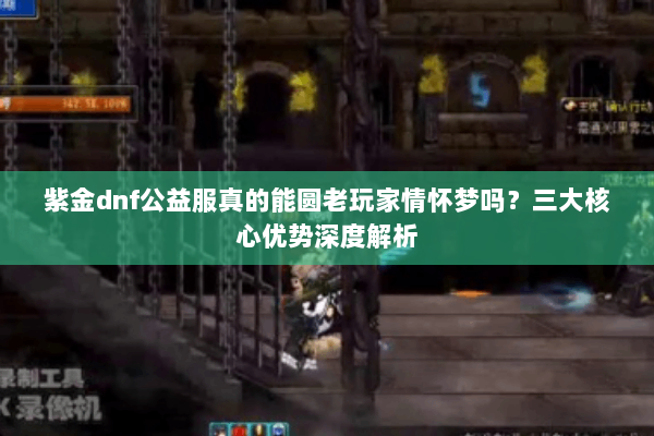 紫金dnf公益服真的能圆老玩家情怀梦吗？三大核心优势深度解析