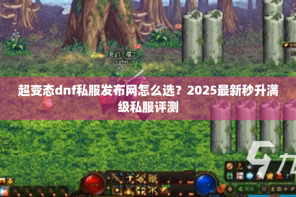 超变态dnf私服发布网怎么选？2025最新秒升满级私服评测