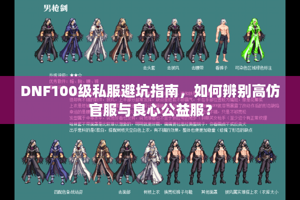 DNF100级私服避坑指南，如何辨别高仿官服与良心公益服？