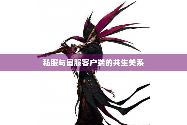 私服与国服客户端的共生关系