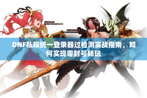 DNF私服统一登录器过检测实战指南，如何实现零封号畅玩