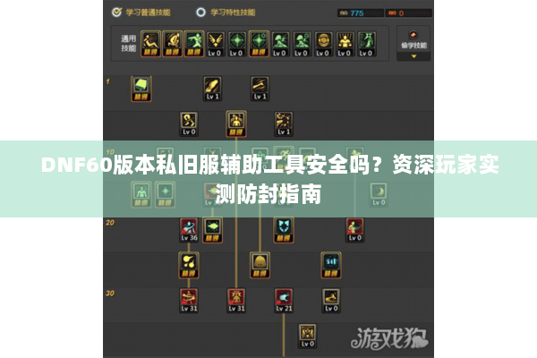 DNF60版本私旧服辅助工具安全吗？资深玩家实测防封指南