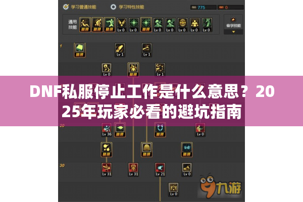 DNF私服停止工作是什么意思？2025年玩家必看的避坑指南
