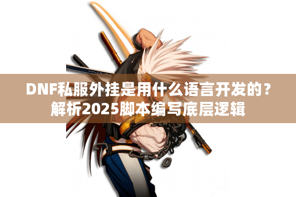DNF私服外挂是用什么语言开发的？解析2025脚本编写底层逻辑