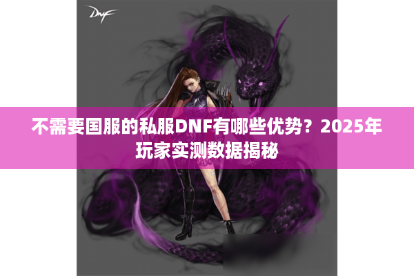 不需要国服的私服DNF有哪些优势？2025年玩家实测数据揭秘