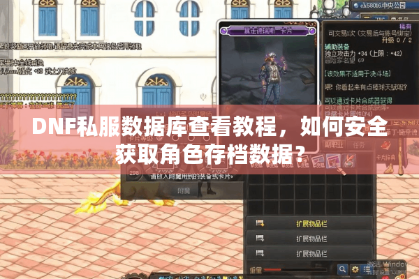 DNF私服数据库查看教程，如何安全获取角色存档数据？
