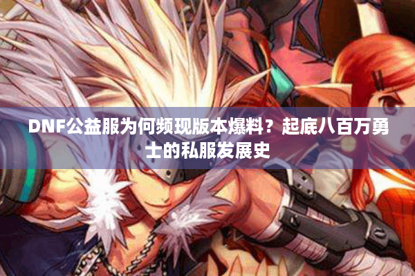 DNF公益服为何频现版本爆料？起底八百万勇士的私服发展史